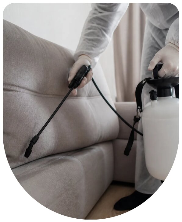 Обработка мебели от клопов в Кропоткине с гарантией результата